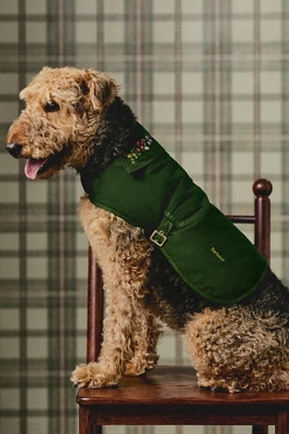 Barbour x Anthropologie Embroidered Collar Dog Coat Jacket | Anthropologie (US)