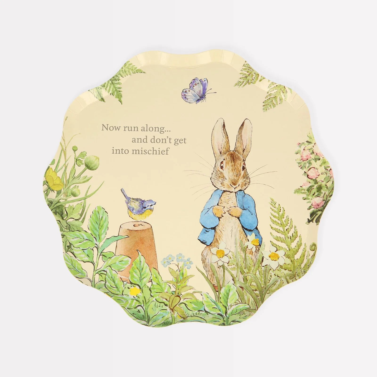 Peter Rabbit Plates | Meri Meri