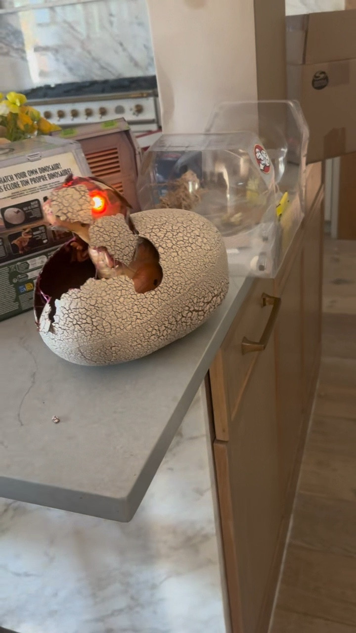 Such a cool interactive toy for the kiddos! 

#LTKFindsUnder100 #LTKKids #LTKGiftGuide