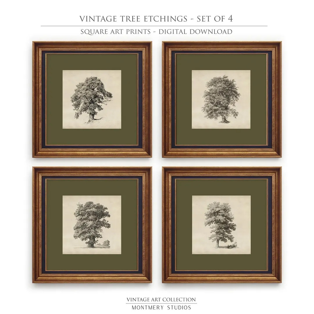 Square Vintage Tree Print Set of 4, Antique Printable With Sage Green Mat, Oak Tree Etching, Fore... | Etsy (US)