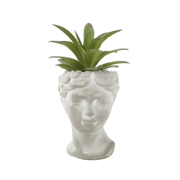 Mainstays 3" Artificial Succulent in Cement Face Planter | Walmart (US)