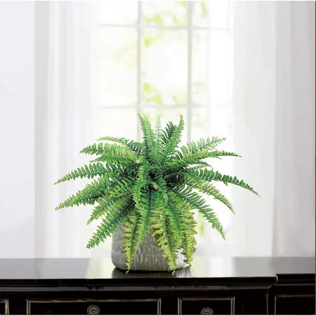 Floral Home 34 Boston Fern Plant UV Resistant Indoor/Outdoor Hanging Plant Great in Planter or Baske | Walmart (US)