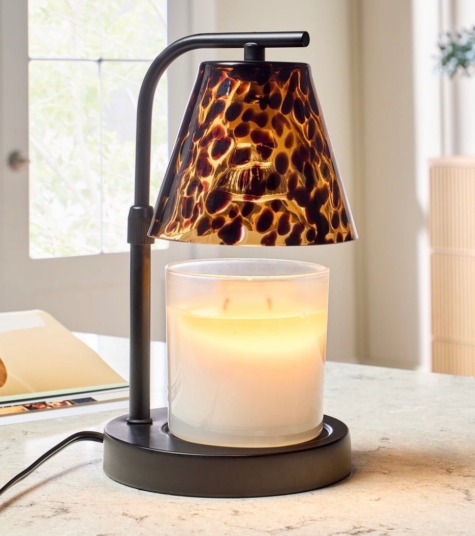 Under $20!

#LTKmorningroutine #LTKSeasonal #LTKHome