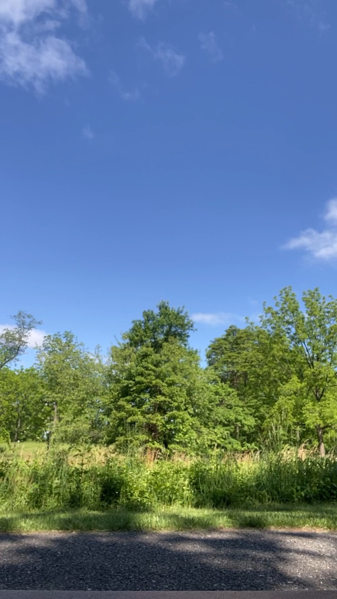 Got a few miles in today!!
I am in love with these aftershock headphones. Your safely is WORTH the investment. With these headphones you can hear other runners, bikers and cars. 

This shorts are my new obsession. I am so excited to buy them in every color! They have a thick waistband and lined. They do have small pockets but not strong enough to hold your phone while you run! Also a dupe from Amazon so they are a deal! 

#LTKActive