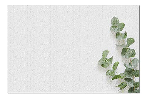 Minimalist Flat Lay of Eucalyptus Leaves on White Background 9014120 (Premium 1000 Piece Jigsaw P... | Amazon (US)
