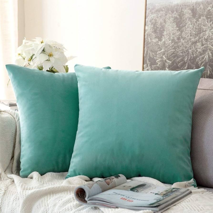 MIULEE Velvet Throw Pillow Covers 22x22 Inch, Pack of 2 - Aqua Green, Soft Solid Decorative Pillo... | Amazon (US)