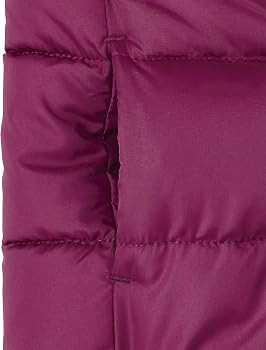 The Children's Place Baby and Toddler Girls' Medium Weight Wind-Resistant, Water-Resistant Puffer... | Amazon (US)