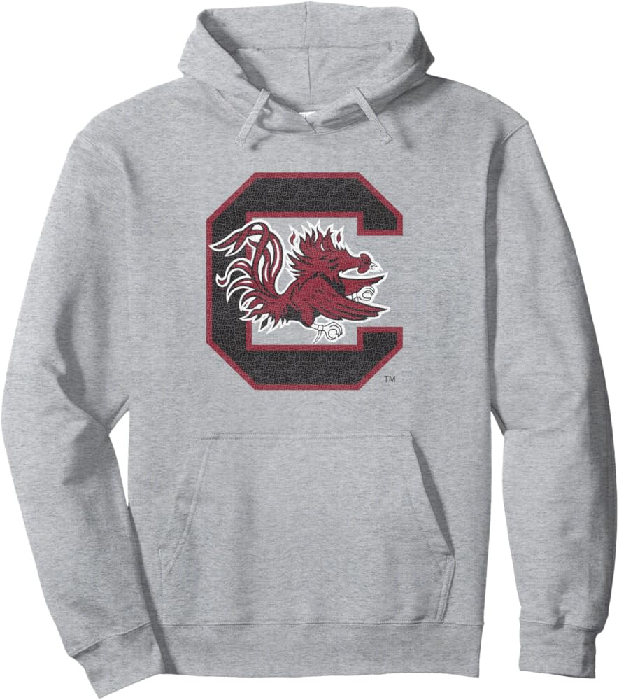 South Carolina Gamecocks Vintage Icon Heather Gray Pullover Hoodie | Amazon (US)