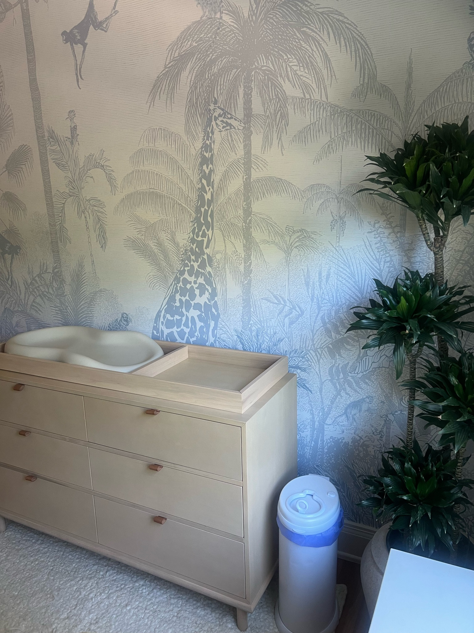 Gender neutral nursery design. Boy girl baby room! Jungle and animal theme nursery. Kids. Nursery decor. 

#LTKBaby #LTKFamily #LTKHome