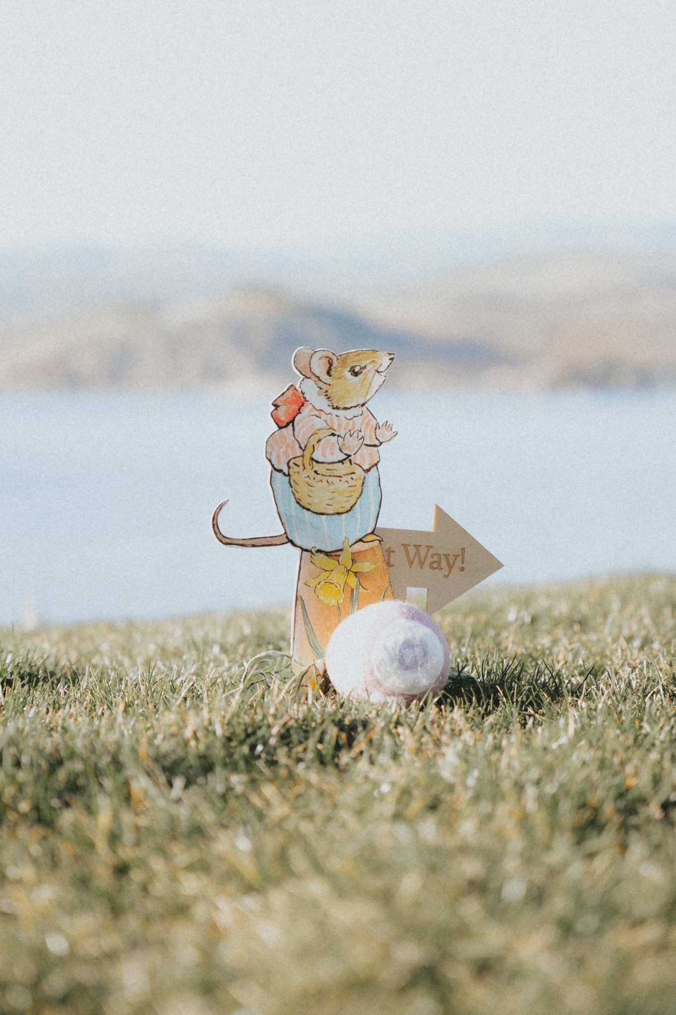 Easter Egg hunt 🐣 ready: since this is Benji’s first egg hunt we’re trying to make it special. + no candy this year just yet so we’ll put toys & pastel colored wool dryer balls for him to have fun with. Whatever he doesn’t like the dogs will play with later + we can use those dryer balls at home all year afterwards! 
Linking a few more cute Easter finds. 
@Anthropologie

#LTKKids #LTKBaby #LTKmomlife