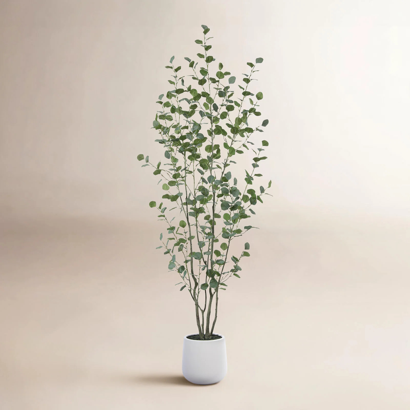 Adalia Faux Eucalyptus Tree with Oval White Planter, Pre Potted Artificial Eucalyptus Plant for H... | AllModern