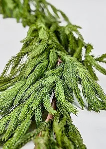 Afloral Real Touch Norfolk Pine Garland - 180" Long | Amazon (US)
