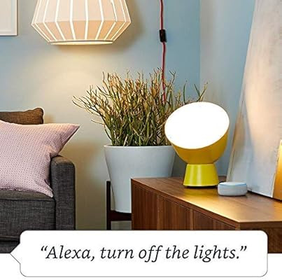 Amazon Smart Plug, for home automation, Works with Alexa - A Certified for Humans Device | Amazon (US)