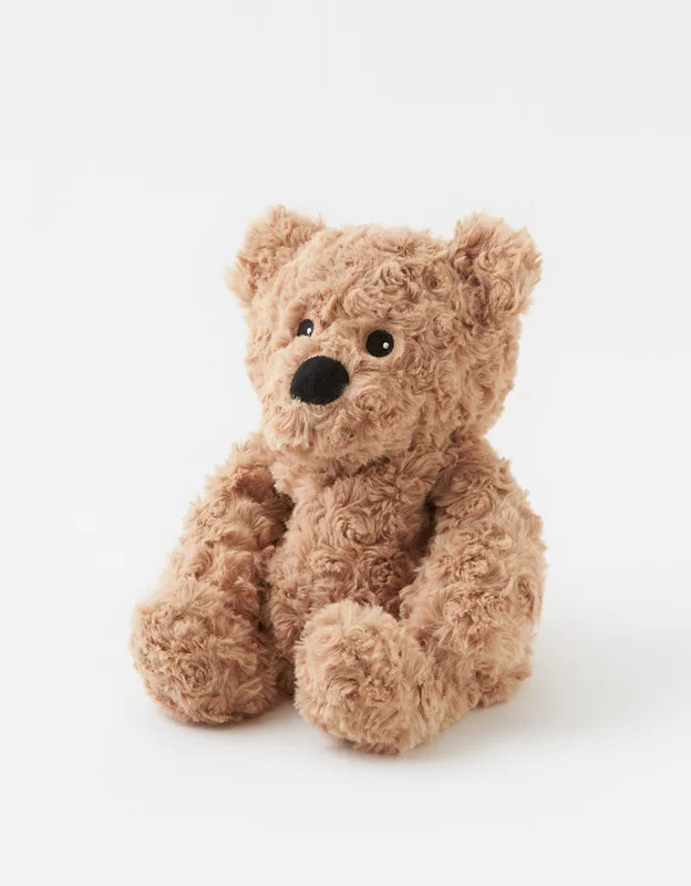 Warmies Teddy Bear | Aerie