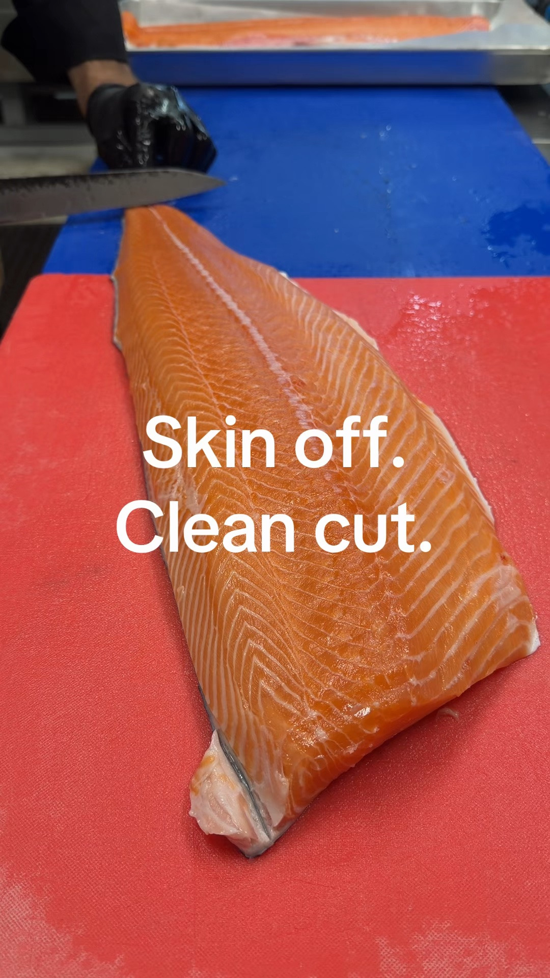 Amazon kitchen finds that make salmon prep so much easier! 🐟🔪 These heavy-duty cutting boards, anti-fatigue kitchen mats, and Japanese-style sushi knife are great for breaking down and slicing fresh salmon. Perfect for seafood prep, sushi nights, meal prep, or upgrading your home kitchen setup.

#AmazonFinds #AmazonKitchenFinds #SalmonPrep #SushiAtHome #JapaneseKnife #CuttingBoard #KitchenTools #SeafoodPrep #KitchenEssentials #LTKFinds

#LTKfoodie #LTKOver40 #LTKdayinmylife