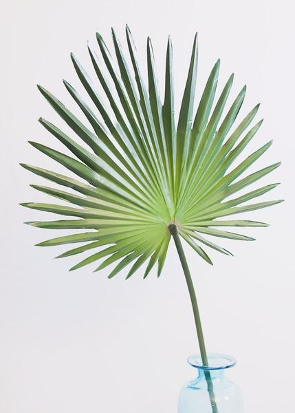 Artificial Fan Palm Leaf - 30" | Afloral (US)