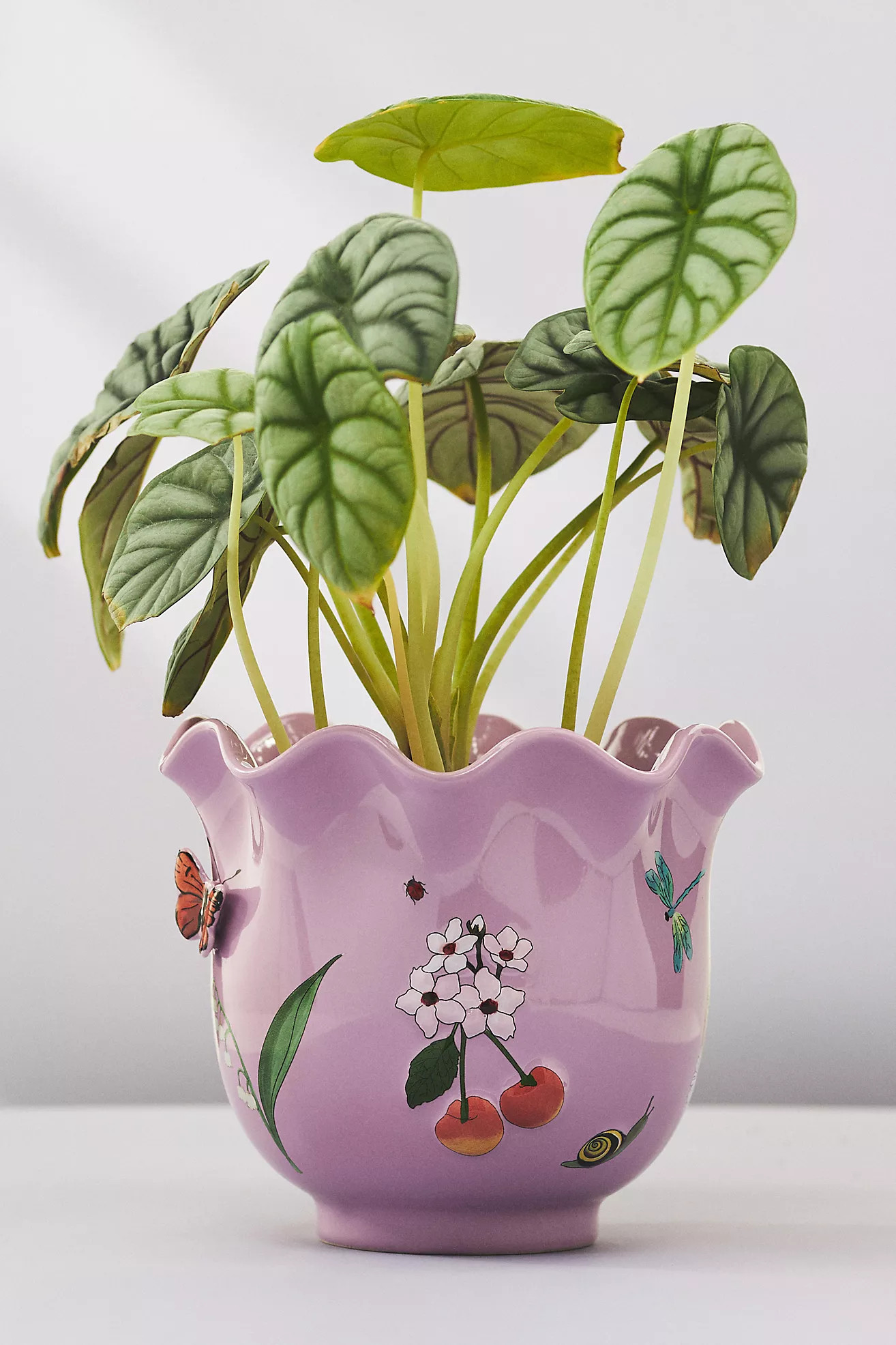 Faye Planter | Anthropologie (US)