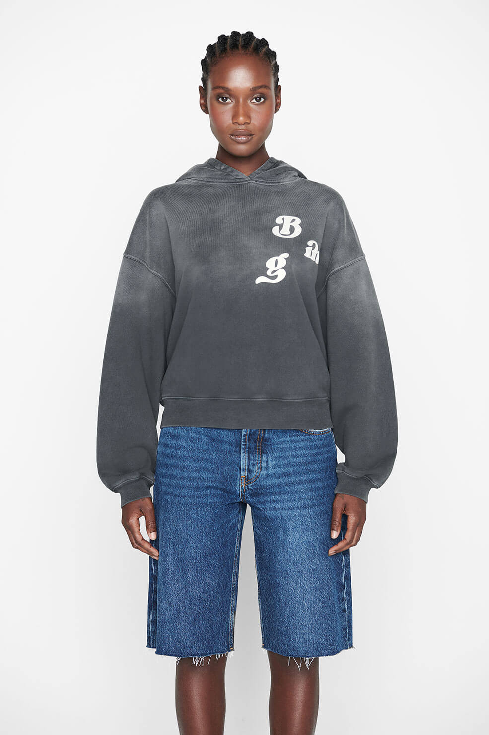 Alec Hoodie Vintage Bing | Anine Bing