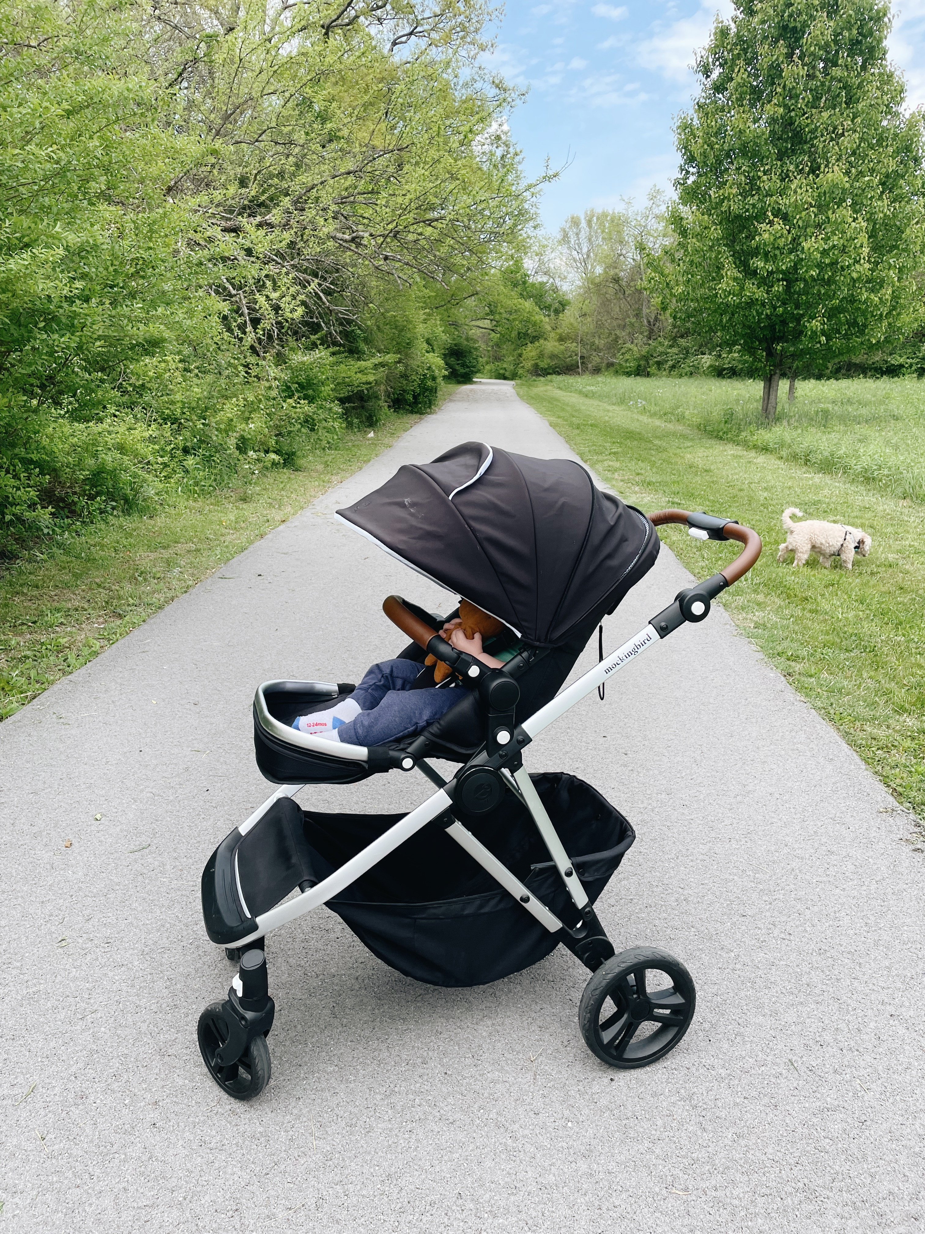 Best stroller. Single to double.

Baby gift, stroller, double stroller, maternity, baby shower gift, mom to be, baby must haves

#LTKBaby #LTKBump #LTKFamily