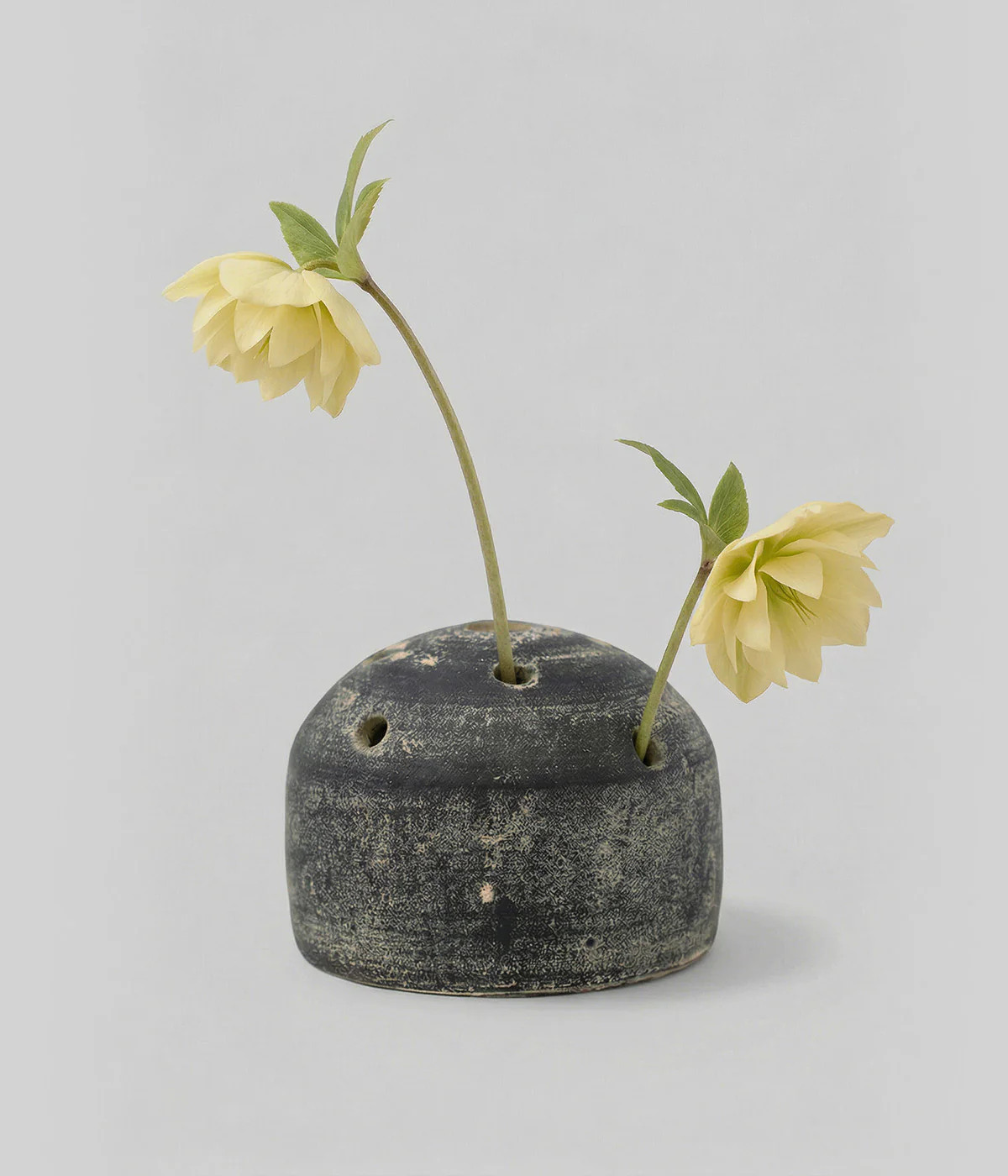 Grey Terra Cotta Frog Vase—Dark Vessel for Airy Stems | Bloomist | Bloomist, Inc
