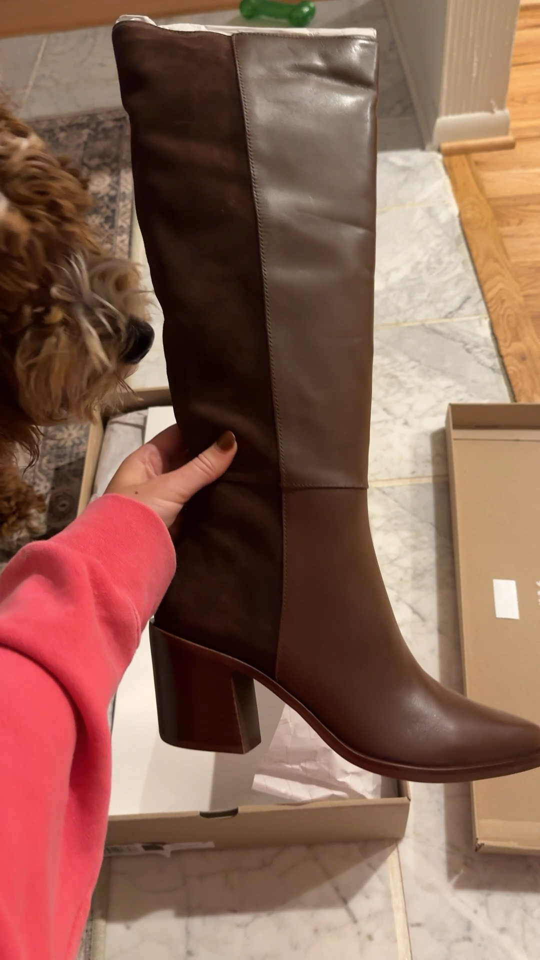 My boots for the season! TTS and the perfect boots for fall dresses and skirts! 

#LTKshoecrush #LTKstyletip #LTKSeasonal