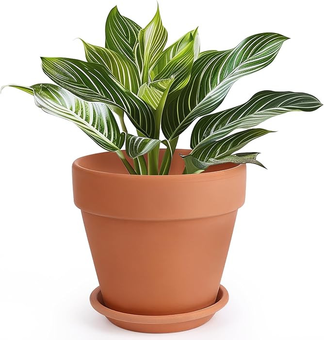INGOFIN Terracotta Pot with Saucer - 10 Inch Ceramic Clay Pot for Plants with Drainage Hole, Larg... | Amazon (US)