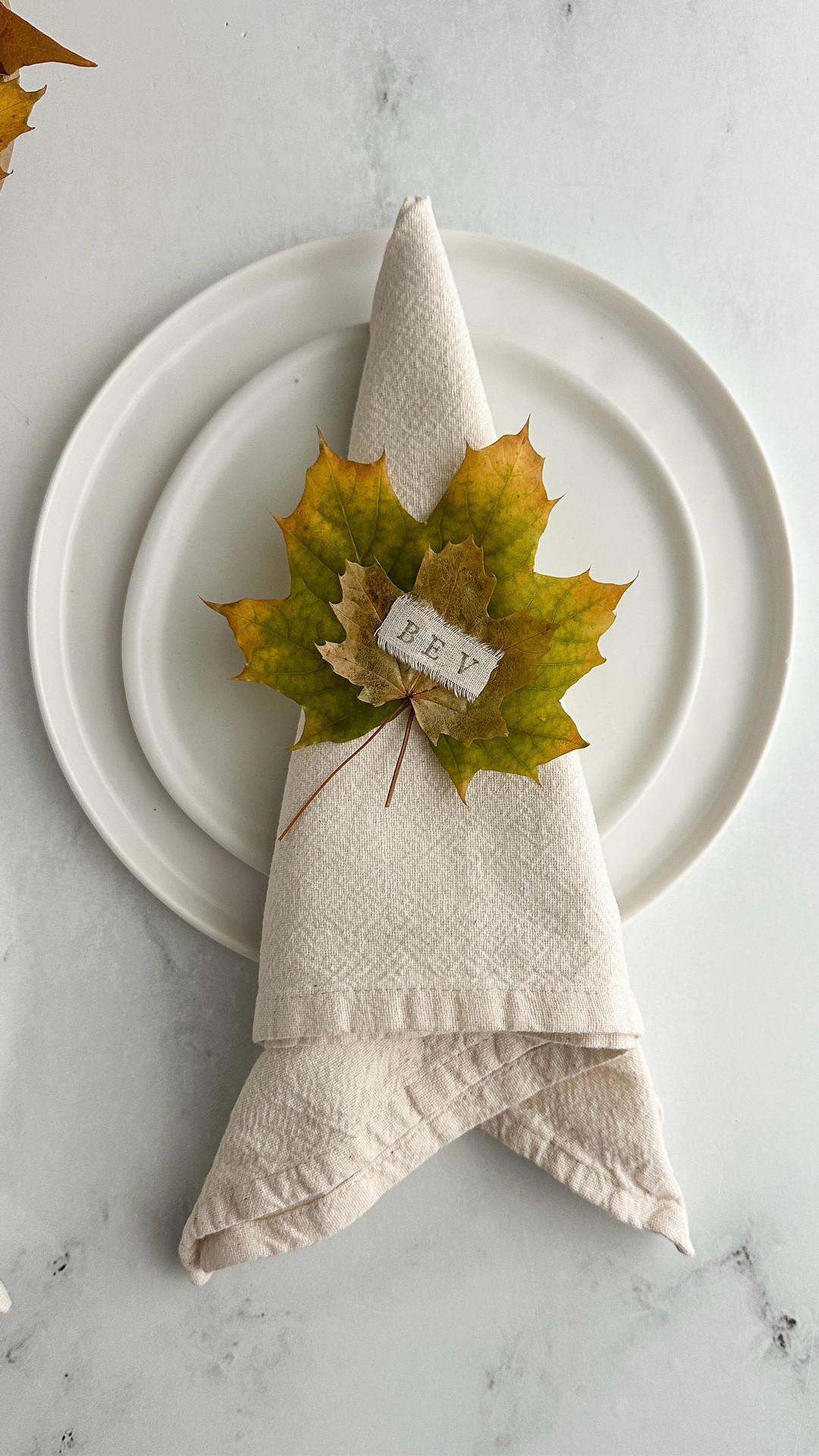 Simple, sweet, and absolutely charming for your Thanksgiving table — these DIY leaf place cards are my new favorite holiday touch! 🍂
I preserved real leaves so they stay soft and keep their color, then stamped names onto cotton ribbon and hot-glued them to the leaves. The result? A personalized place setting that adds so much character.
It’s a 30-minute craft that anyone can pull off — and I’ve got plenty of alternatives if you don’t have real fall leaves where you are!
Comment “leaf” and I’ll send the link your way! 🍁
#DIYTableDecor #ThanksgivingCrafts #FallDecor #PlaceCards #LeafCrafts #HolidayTableSetting #SheriSilverDIY #ThanksgivingDecor #FallTableSetting #DIYPlaceCards #LeafPlaceCards #HolidayCrafts #FallDecorIdeas #TableDecorDIY #ThanksgivingTable #CraftyHome #PreservedLeaves #HomeStyling #SheriSilver #EasyDIY #HolidayHosting
 