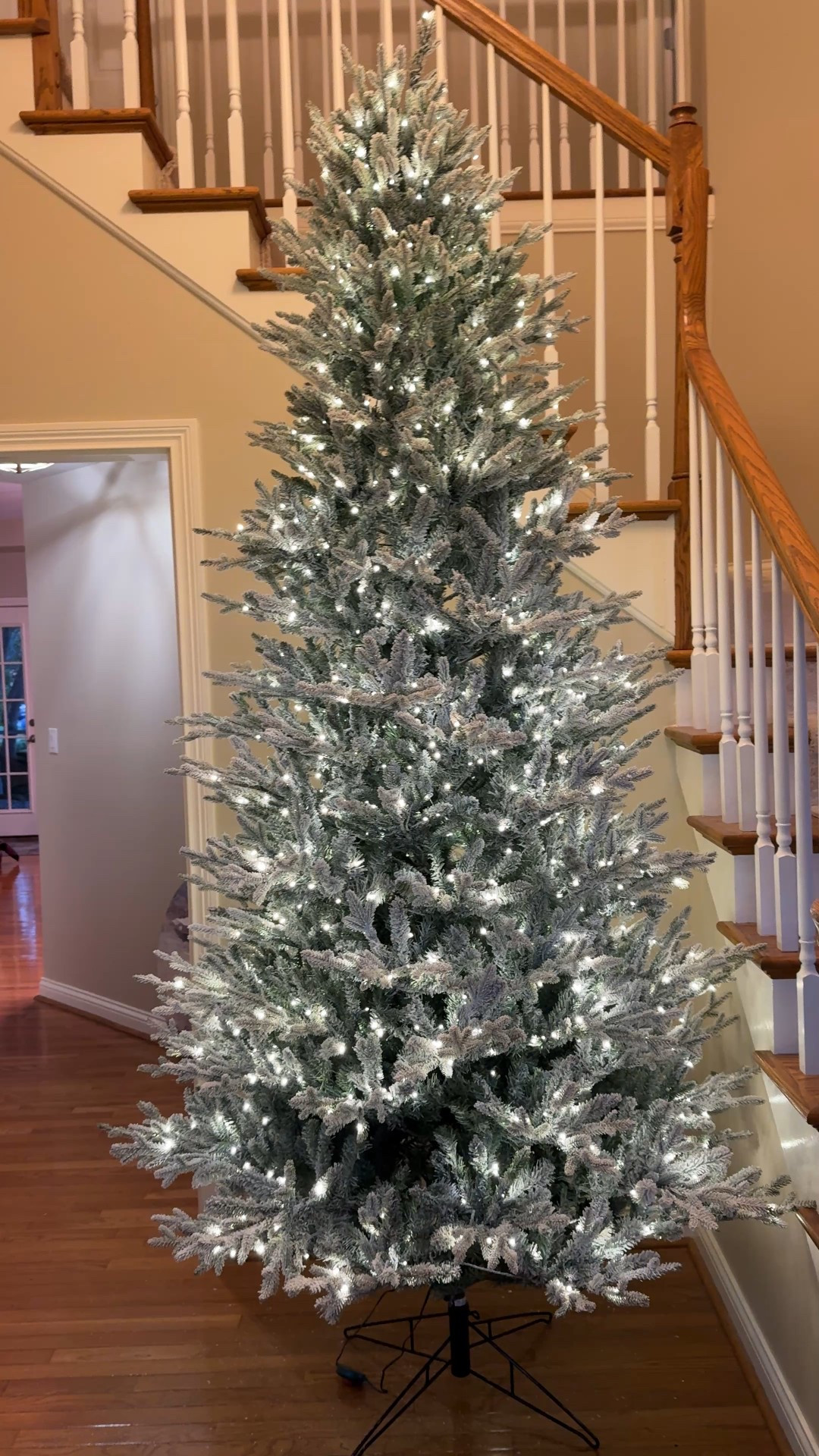 The Goldilocks of flocked Christmas trees! I have several trees in my house but I really wanted a flocked one but I didn’t want blinding cool white lights, nothing over 60” diameter, and it had to be 9ft tall with a twinkle function. After A LOT of research, I ordered this tree and it is spectacular in person. 5 minutes to assemble, minimal shedding out of the box, and this video is after zero fluffing of the branches. Thrilled with this tree! 

#LTKHome #LTKSeasonal #LTKHoliday