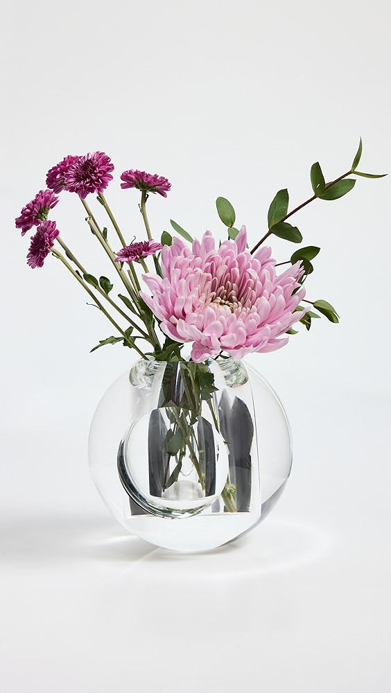 Tizo Design | Shopbop