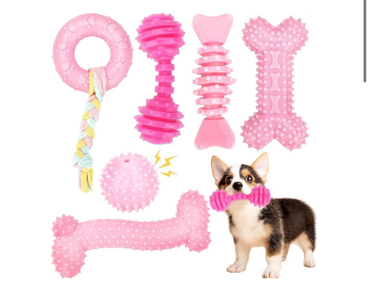These are great chew toys for teething pups. They don’t get destroyed and you can fill some of the bones with peanut butter or other things.