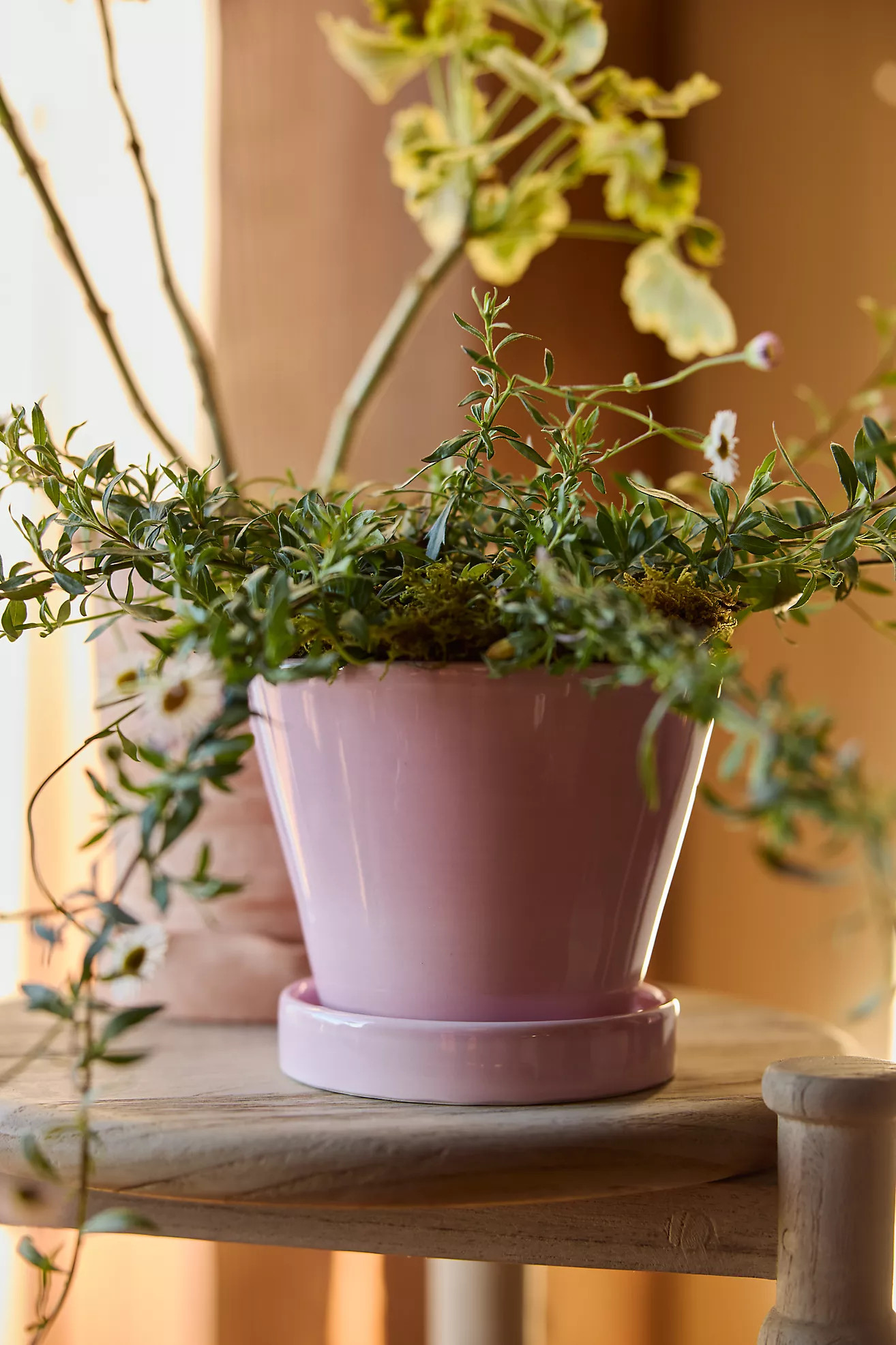 Classic Glazed Galestro Pot + Saucer Set | Terrain