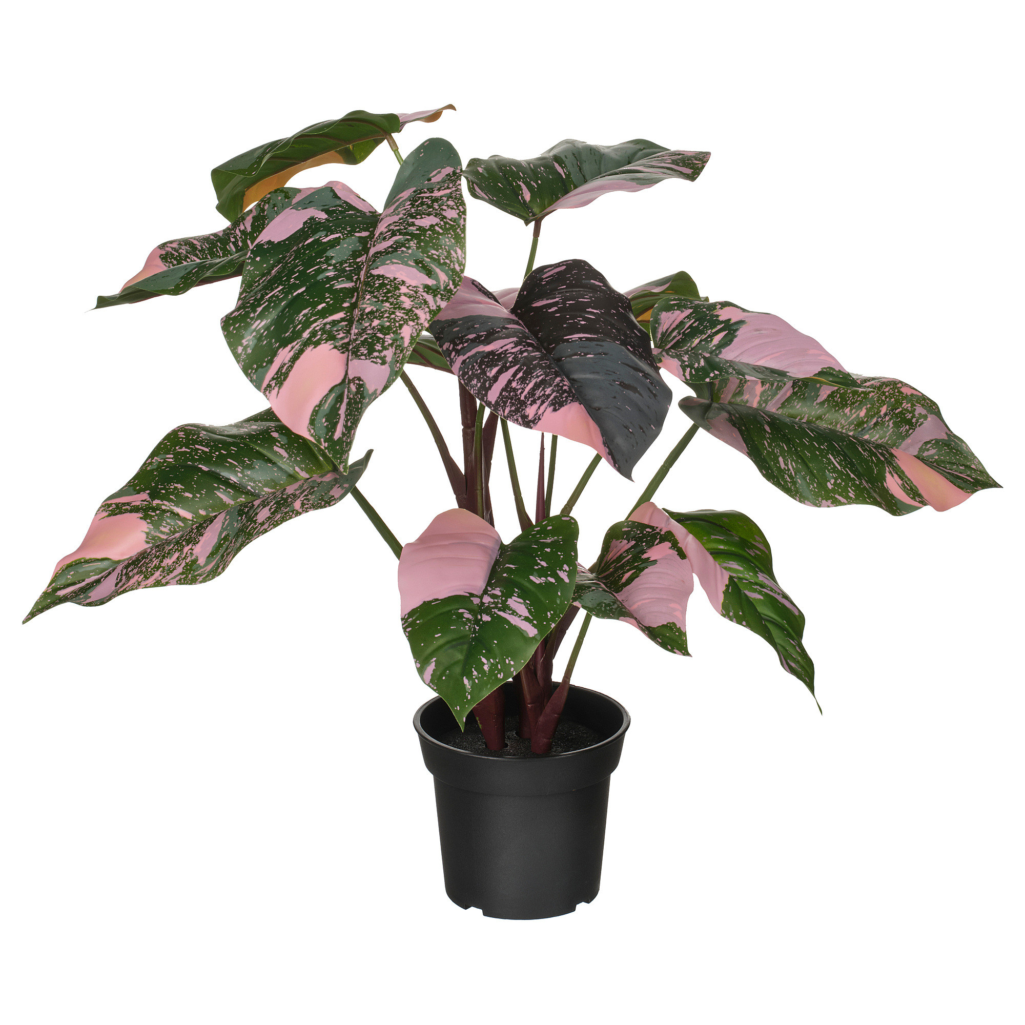 FEJKA Artificial potted plant, indoor/outdoor Philodendron/green/pink, 6 " | IKEA US