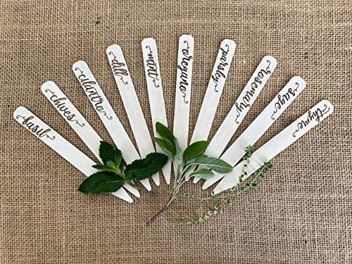 Plantid™ Assorted 10-Pack Kitchen Herbs! Farmhouse Decor Outdoor Indoor Herb Garden Stakes, Plant Labels, Plant Tags, Garden Markers, Garden Accessories, Garden Gifts, Holiday Stocking Stuffers | Amazon (US)
