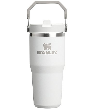 Stanley IceFlow Tumbler with Flip Straw 14 oz. - Frost | Dillard's