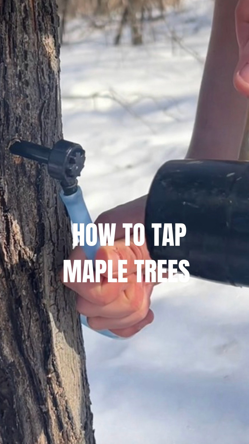 One of our favorite spring activities, that provides delicious syrup for our family all year long! 

#LTKfoodie #LTKmomlife #LTKSeasonal