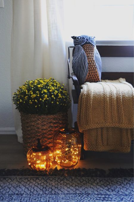 Simple fall decor that can last year after year (except for the flowers - you’ll need fresh ones!)

#LTKSeasonal #LTKhome #LTKHalloween