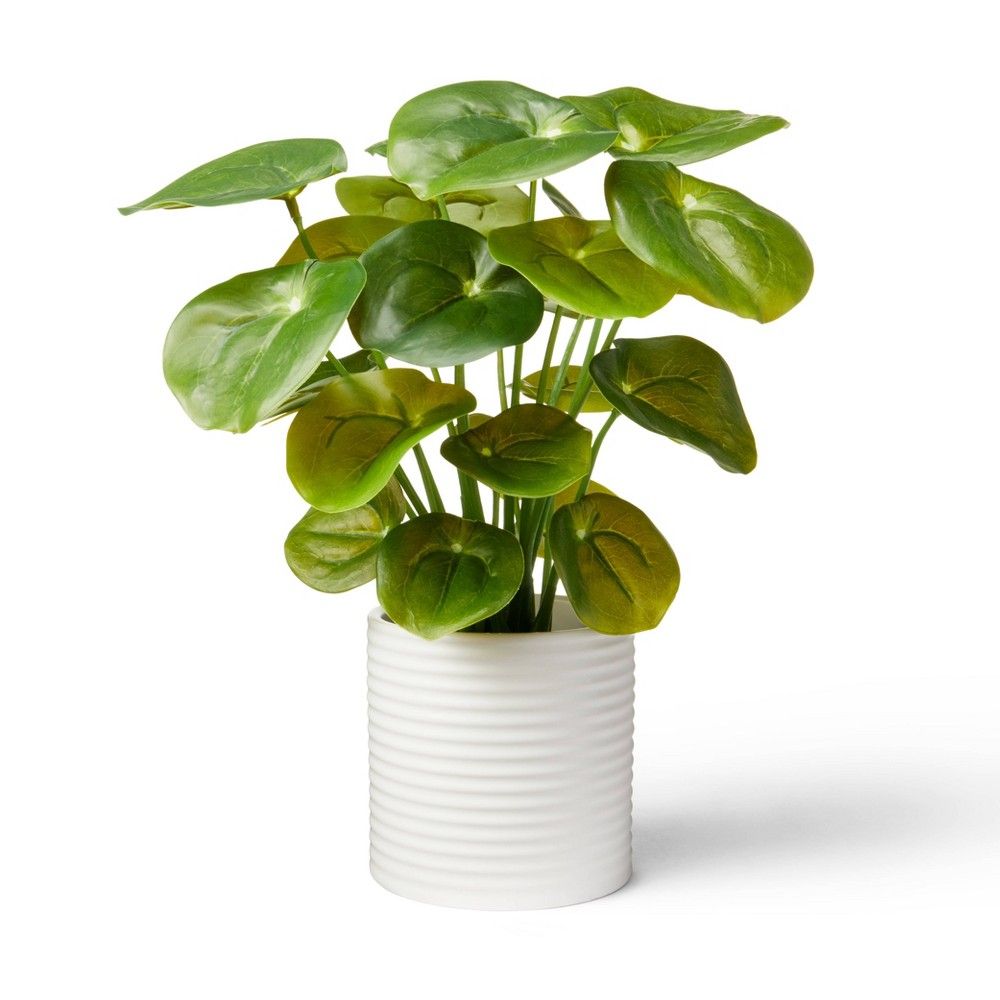 11.5"" x 6"" Artificial Pilea Plant in Ribbed Ceramic Pot White - Hilton Carter for Target | Target