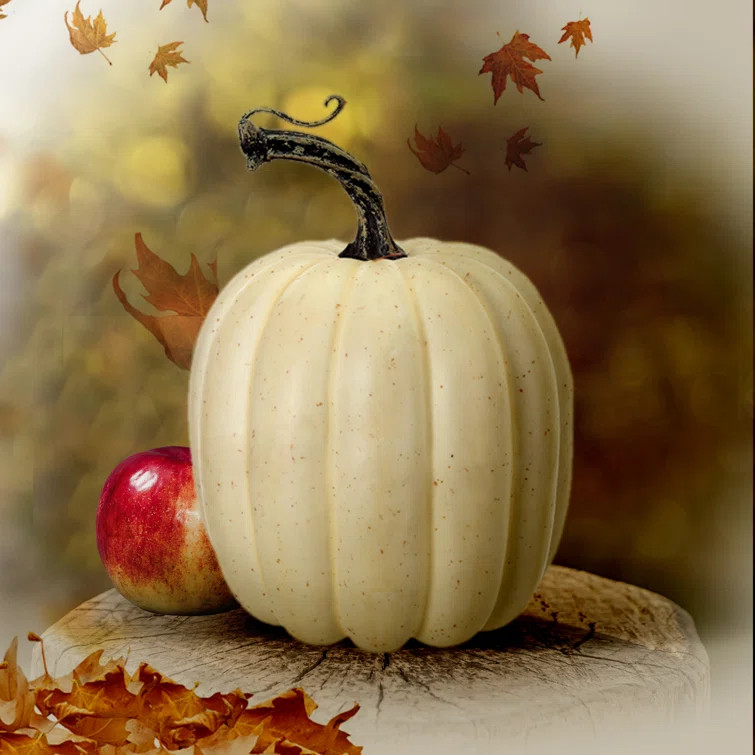 Harvest Pumpkin | Wayfair North America