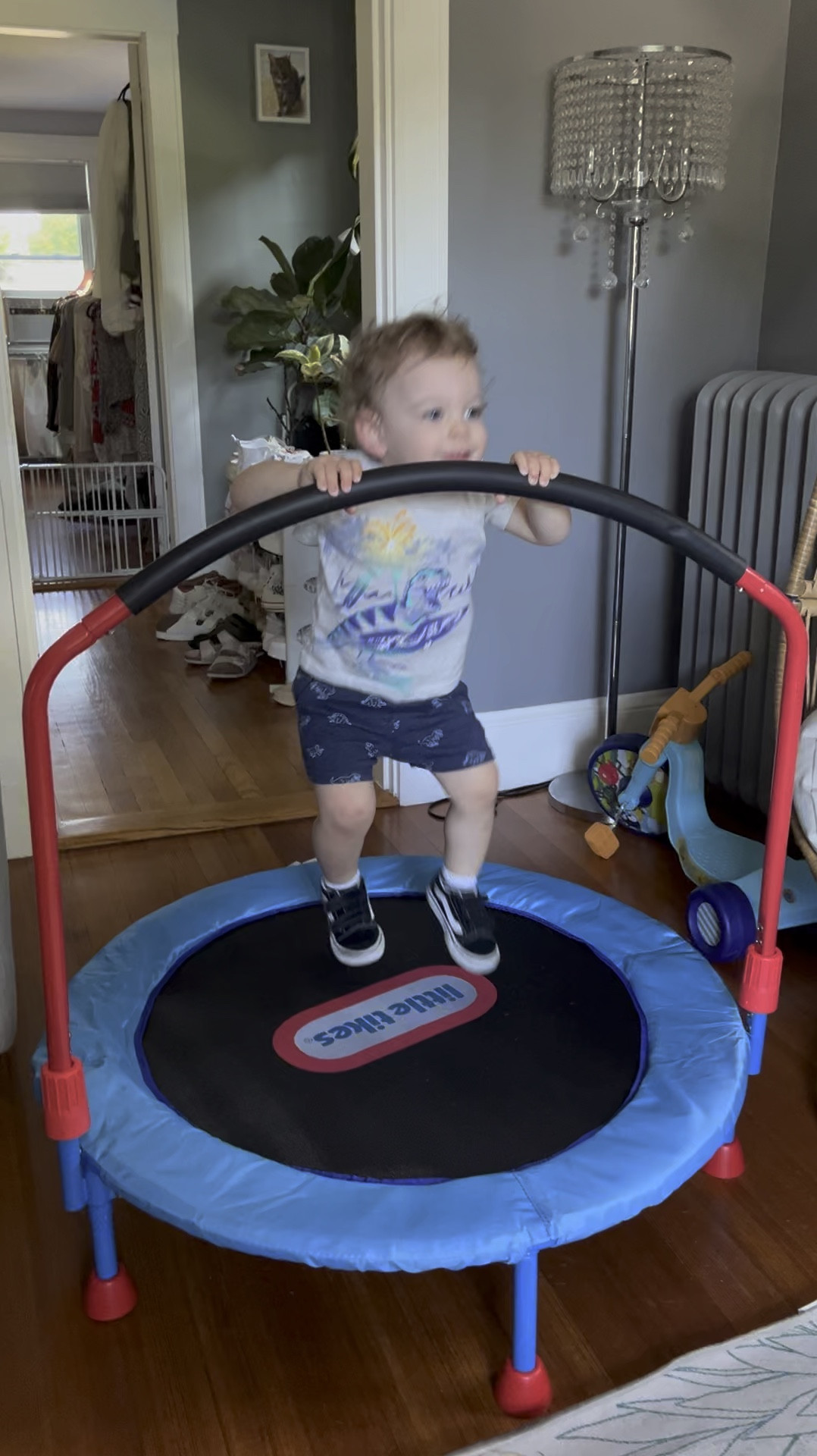 One of Rocco’s birthday presents! 

#LTKFitness #LTKKids #LTKFindsUnder100