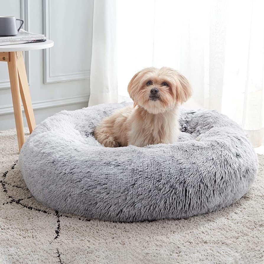 WESTERN HOME WH Calming Dog & Cat Bed, Anti-Anxiety Donut Cuddler Warming Cozy Soft Round Bed, Fl... | Amazon (US)
