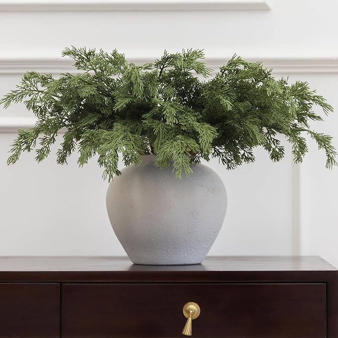 MISSPIN 12 Pcs 21.5 Inches Christmas Cedar Branches, Cedar Artificial Christmas Branches DIY Craf... | Amazon (US)