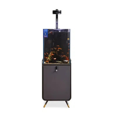 35-50 Gallon Carbon steel Modern Eco Aquarium Tank | Wayfair North America
