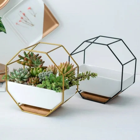 Windfall Geometric Octagon Planter, Wall and Desk Decor Ceramic Containers and Vases-for Succulents, | Walmart (US)