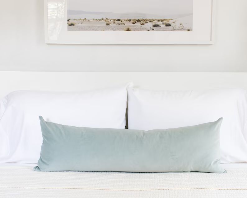 Powder Blue Velvet Throw Pillow Covers Luxury Velvet | Etsy | Etsy (US)