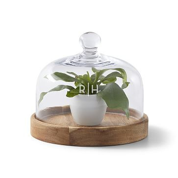 Acacia Wood Cloche | Mark and Graham