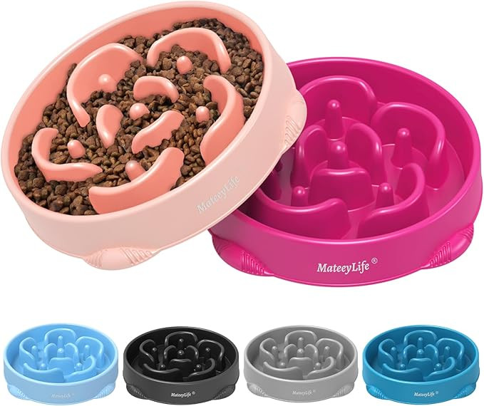 MateeyLife Large Slow Feeder Dog Bowls 2PCS, Anti-Choking Puzzle Dog Food Bowls, Anti-Slip Intera... | Amazon (US)