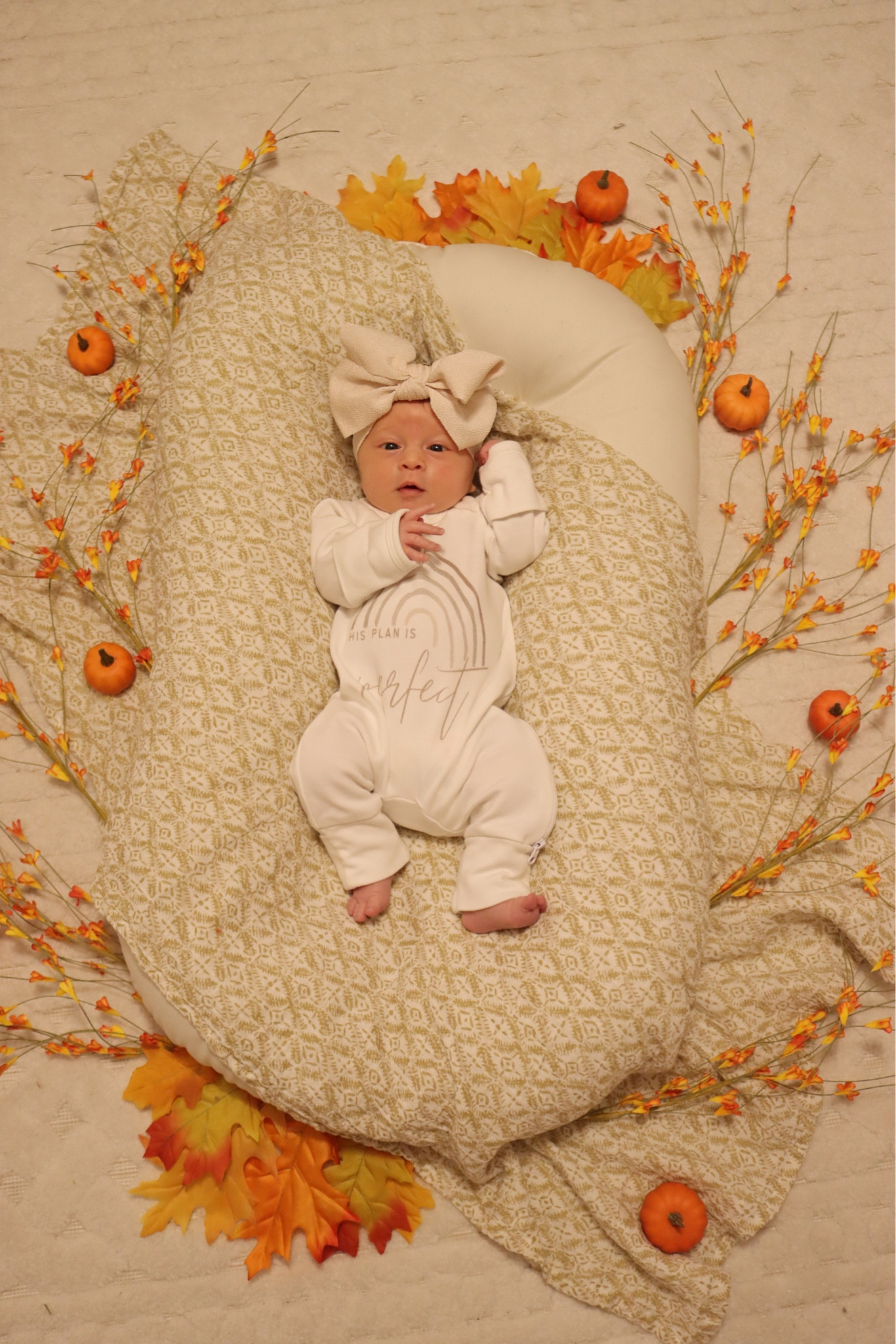 Monthly milestone pictures 

Newborn 1 month 
Baby girl
Fall


#LTKBump #LTKBaby #LTKFamily