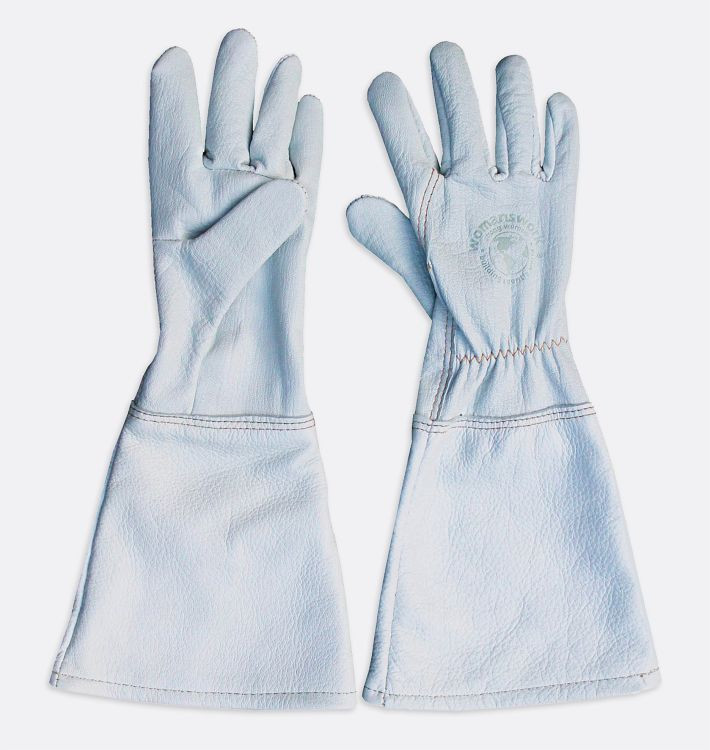 Gauntlet Gloves | Rejuvenation