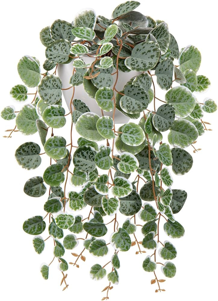 Hollyone Artificial Hanging Plants Decorative Fake Potted Plants, String of Hearts Plants Indoors... | Amazon (UK)
