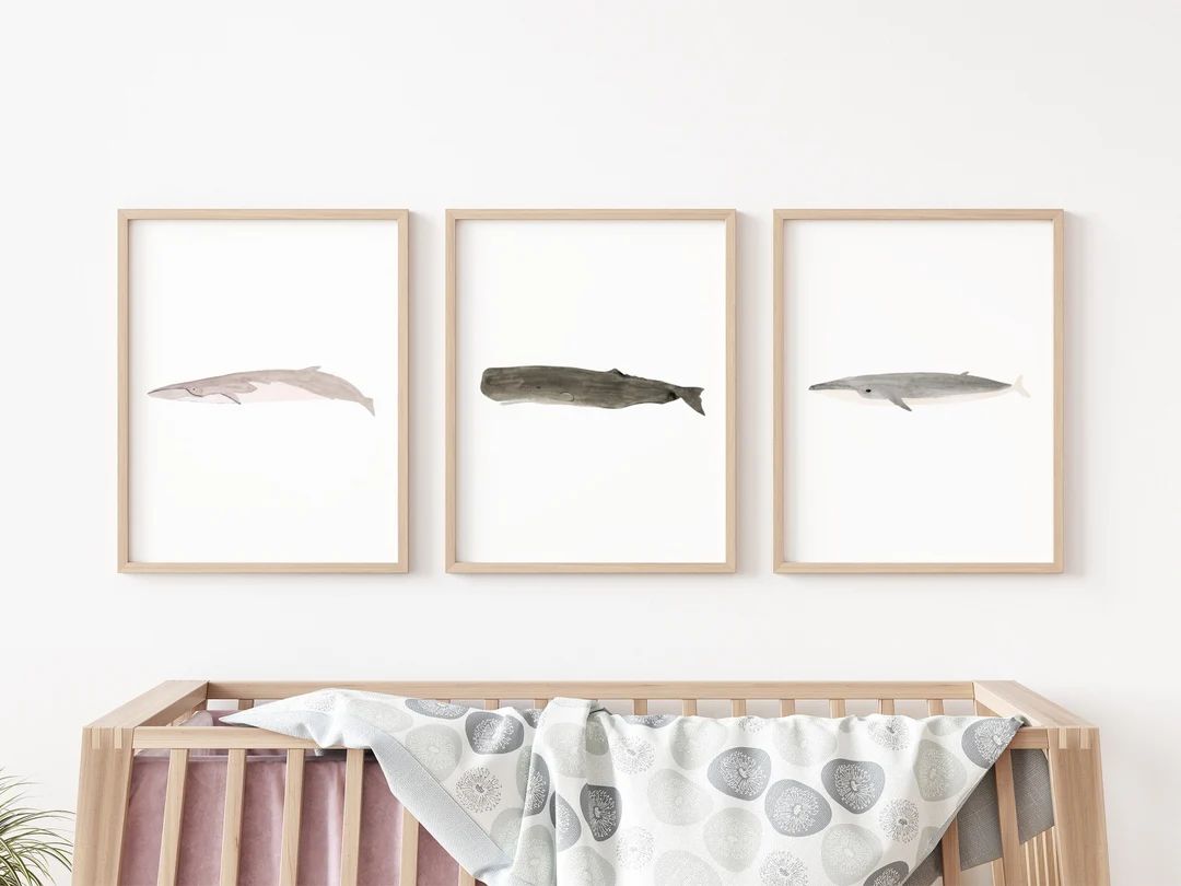 Watercolor Whale Prints Set of 3 Whale Nursery Decor Fish - Etsy | Etsy (US)